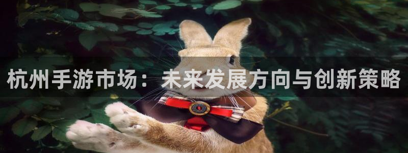 庄闲游戏怎么玩：杭州手游市场：未来发展方向与创新策略