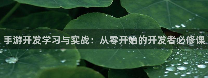 庄闲游戏官方版游戏特色：手游开发学习与实战：从零开始的开发者