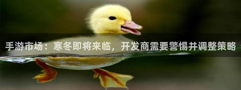 庄闲规则介绍：手游市场：寒冬即将来临，开发商需要警惕并调整策