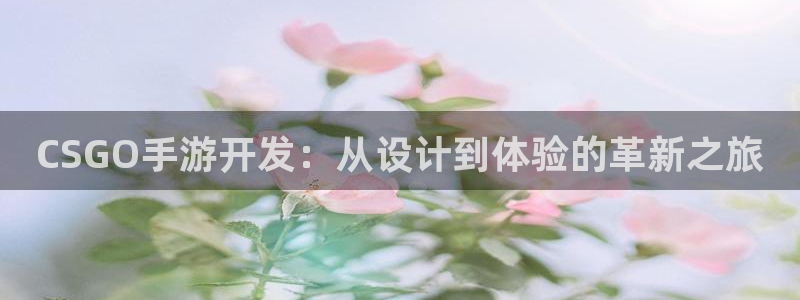 庄闲游戏哪里：CSGO手游开发：从设计到体验的革新之旅