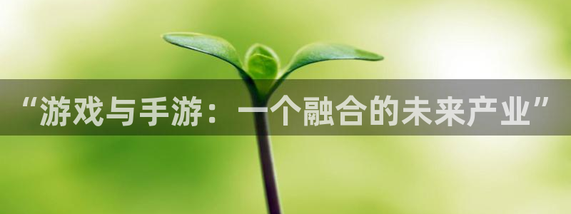 庄闲游戏版本：“游戏与手游：一个融合的未来产业”