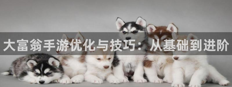 庄闲和规则图：大富翁手游优化与技巧：从基础到进阶