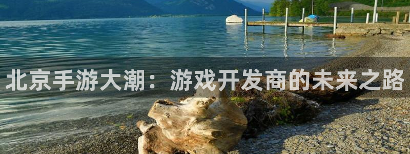 真人庄闲游戏：北京手游大潮：游戏开发商的未来之路