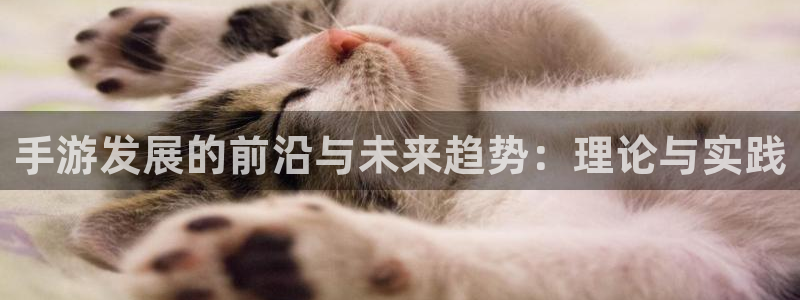 庄闲游戏怎样对付连输：手游发展的前沿与未来趋势：理论与实践
