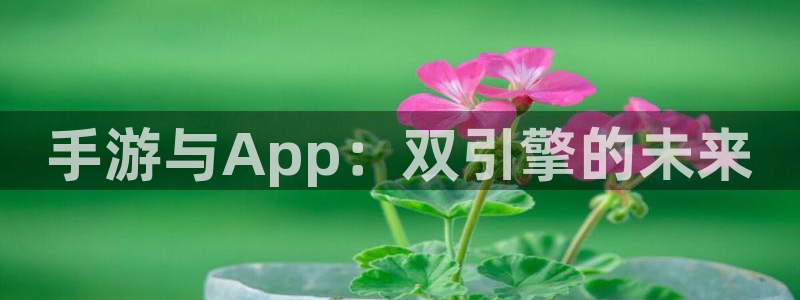庄闲和补牌规则视频：手游与App：双引擎的未来