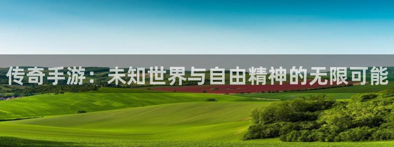 庄闲闲庄庄闲公式：传奇手游：未知世界与自由精神的无限可能