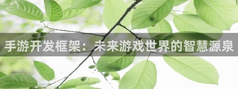 庄闲庄庄闲：手游开发框架：未来游戏世界的智慧源泉