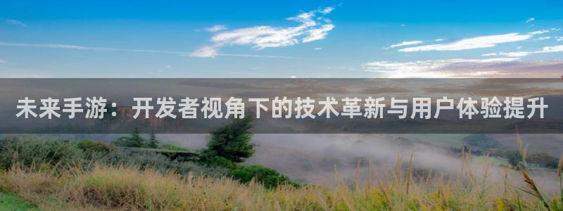 庄闲游戏网站：未来手游：开发者视角下的技术革新与用户体验提升