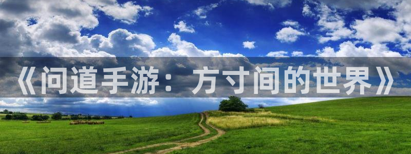 庄闲的游戏：《问道手游：方寸间的世界》
