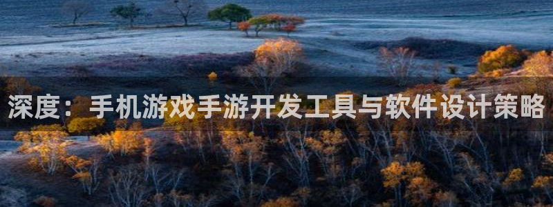 庄闲的玩法：深度：手机游戏手游开发工具与软件设计策略