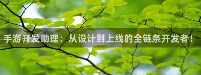 庄闲有规律吗：手游开发助理：从设计到上线的全链条开发者！