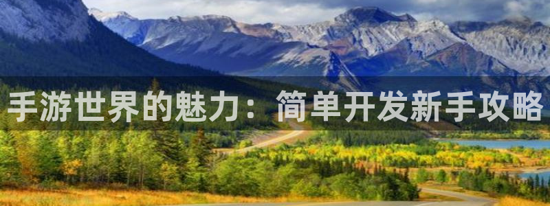 庄闲游戏导航：手游世界的魅力：简单开发新手攻略
