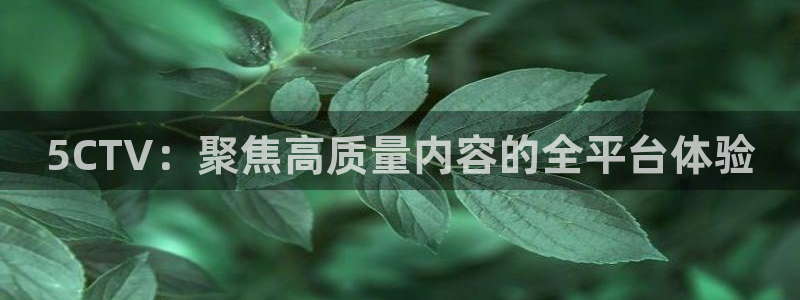 nba直播球友