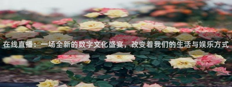 球友体育下载