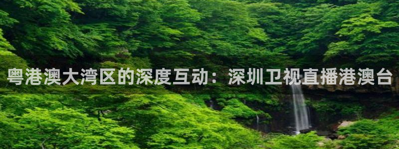 球友nba直播