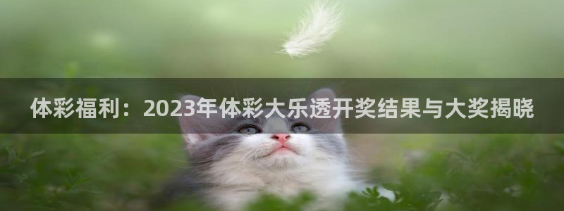球友会直播