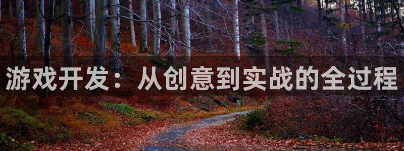 闲庄和游戏官网：游戏开发：从创意到实战的全过程