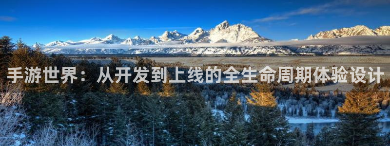 庄闲游戏程序：手游世界：从开发到上线的全生命周期体验设计