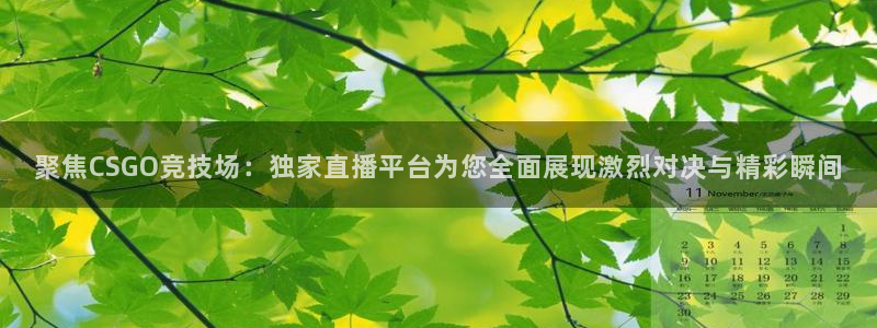球友体育在线直播观看：聚焦CSGO竞技场：独家直播平台为您全面展现激烈对决与精彩瞬间