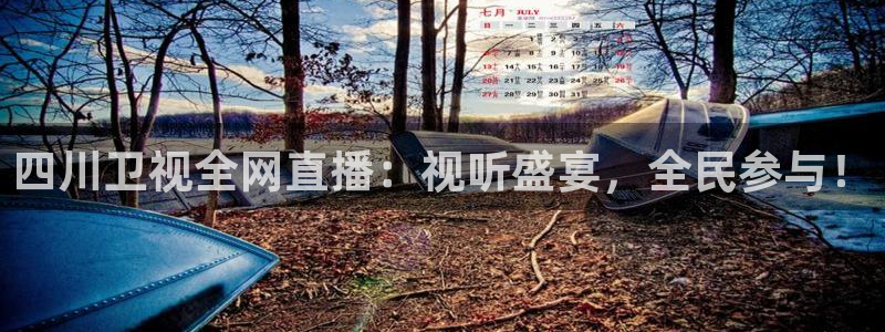 nba球友直播：四川卫视全网直播：视听盛宴，全民参与！